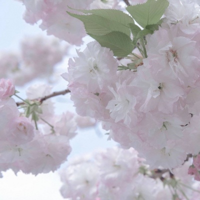 Furry绘画改稿灵感兽圈社群